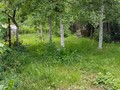 изображение_viber_2024-06-25_13-00-15-640.jpg