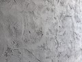 15e71f79-2665-49f8-b1c6-a229d54a1ff5.jpg