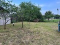 IMG_7182.jpeg
