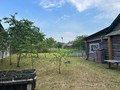 IMG_7195.jpeg