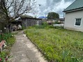 IMG_7066.jpeg