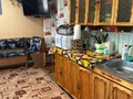 IMG_7133.jpeg