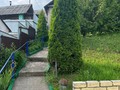 IMG_7156.jpeg