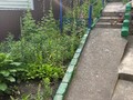 IMG_7161.jpeg