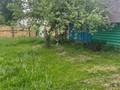 IMG_7028.jpeg