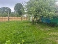 IMG_7029.jpeg